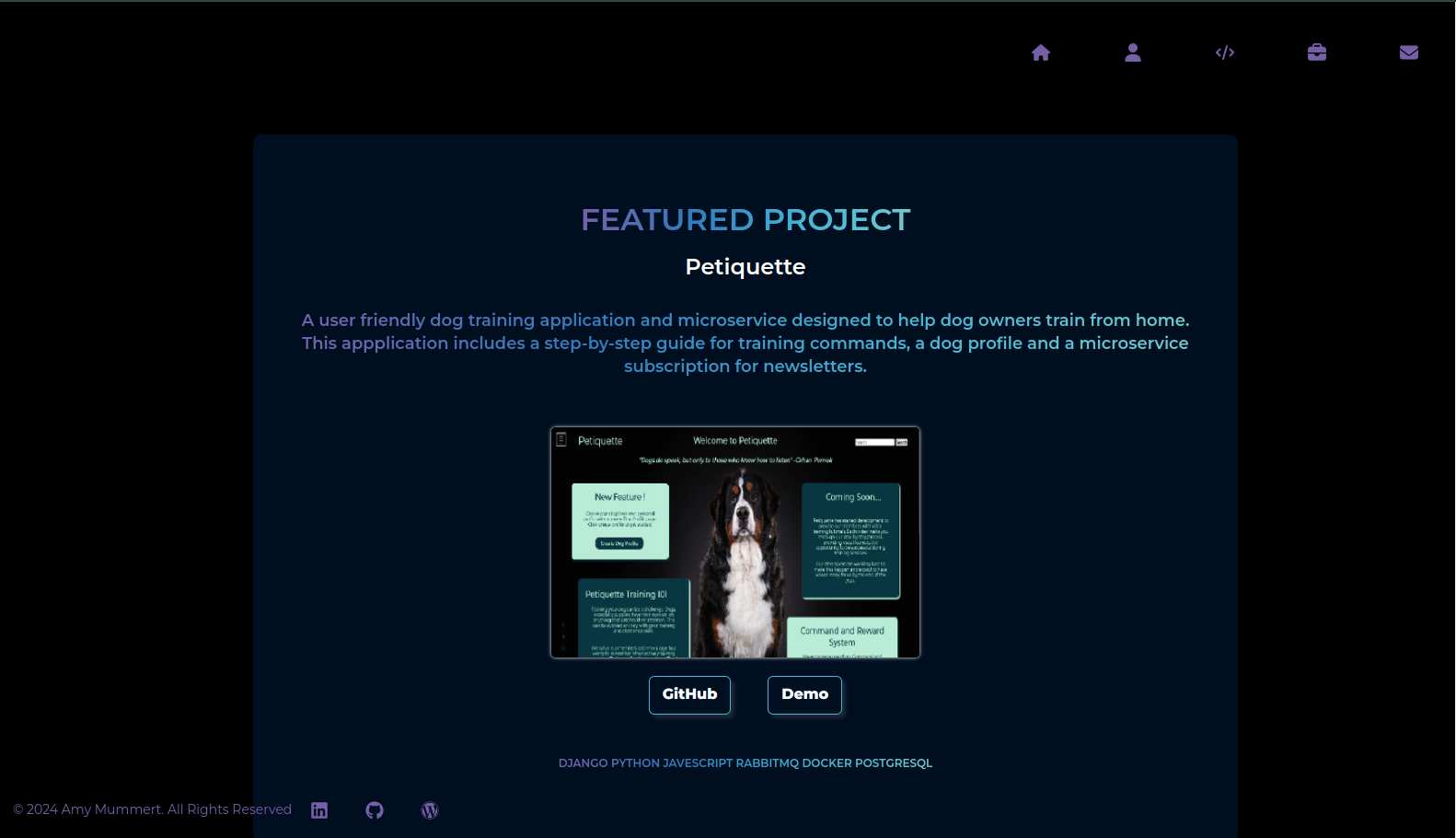 Web Developer Project Gallery